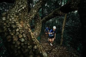 BIB: 
                            <button type="button" onclick="openModal(25696106)" class="btn btn-primary btn-sm float-right btn-popup" data-toggle="modal" data-target=".modal-high-quality">
                        <i class="fas fa-shopping-cart"></i> Add to Cart
                    </button>
                                            <button type="button" onclick="isThisMe(25696106, true)" class="btn btn-success btn-sm float-right btn-popup btn-isme hidden" data-toggle="tooltip" data-placement="bottom" title="นี่คือรูปของคุณใช่ไหม คลิกที่นี่เพื่อเอาเข้าอัลบั้ม">
                        <i class="fas fa-plus"></i> Add to album
                    </button>
                    <button type="button" onclick="isThisMe(25696106, false)" class="btn btn-warning btn-sm float-right btn-popup btn-isnotme hidden">
                        <i class="fas fa-ban"></i> Remove from album
                    </button>